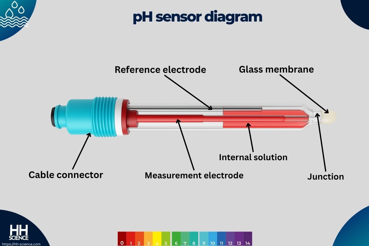pH sensor diagram